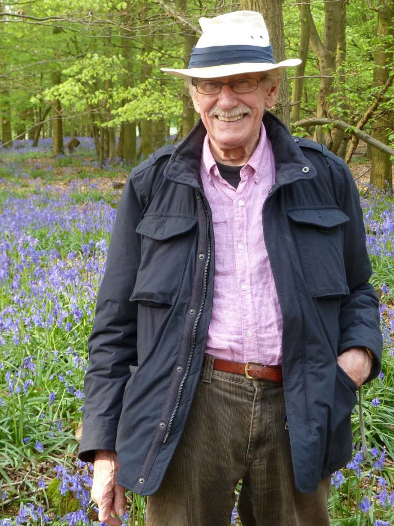 man in bluebell woods